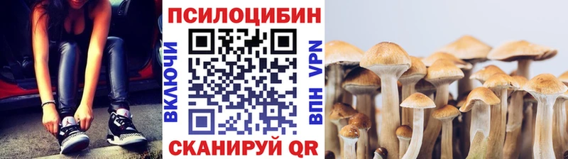 дарнет шоп  Бузулук  Псилоцибиновые грибы ЛСД 